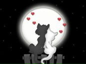 Анна Попікова фотография #5 (источник - https://vk.com/id59976543)