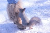 Фотография Белявской Марии