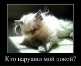 Алина Медкова фотография #23 (источник - https://vk.com/id419266051)