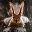 Іринка Сухолова фотография #5 (источник - https://vk.com/id14469735)