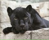 Фотография Смирновой Инны