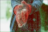 Фотография Зайцевой Натальи