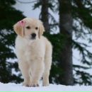 Іринка Ярмолюк фотография #29 (источник - https://vk.com/id147113231)