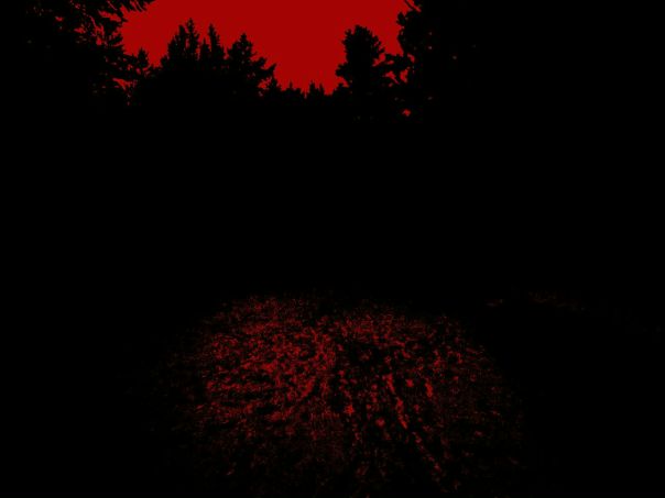 Nataniel Red фото №11