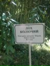 Фотография Войковны Агафьи