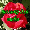 Маріна Матвієва фотография #27 (источник - https://vk.com/id165861276)