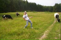 Фотография  