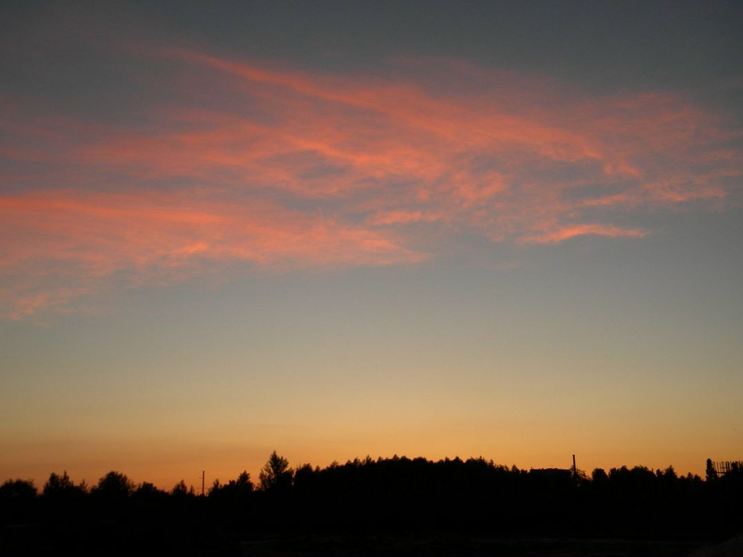 Виктор Григорьев фотография #41