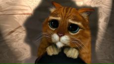 Фотография Приходченко Ярослава