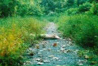 Misha Borshch фотография #16 (источник - https://vk.com/id3591789)