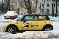 Фотография Кудрявцева Геры