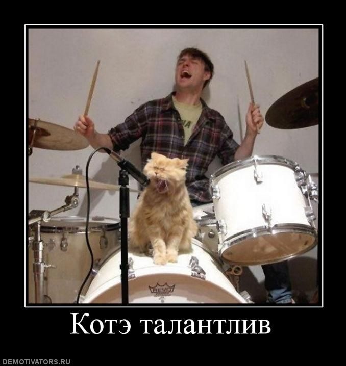 Тимур Тимофеев фотография #35