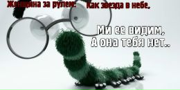 Сергей Бутенко фотография #5 (источник - https://vk.com/id77199680)