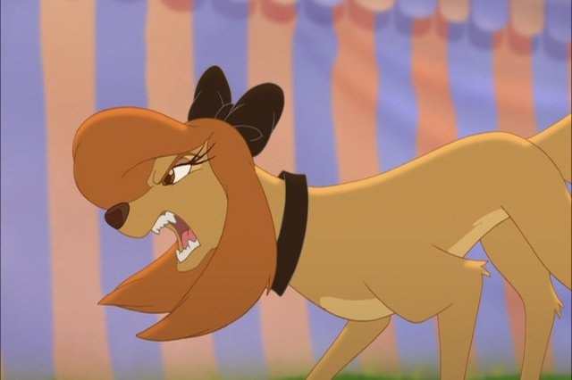 Dixie Dog фотография #34
