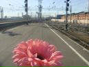 Фотография Епанешниковой Елены