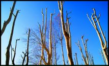 Максим Горбулин фотография #29 (источник - https://vk.com/id134638)