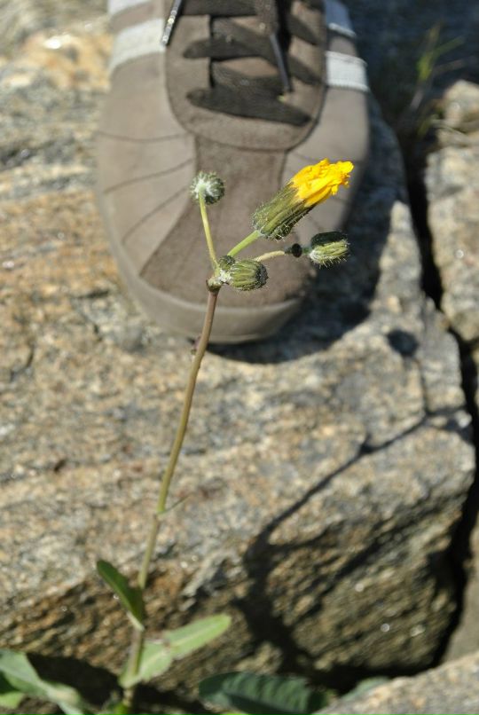 Дмитрий Павловский фотография #8