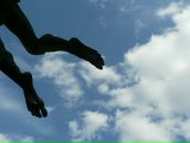 Фотография Бреус Елены