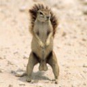 Фотография Бардашевича Владимира