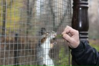 Фотография Рожкова Сергея