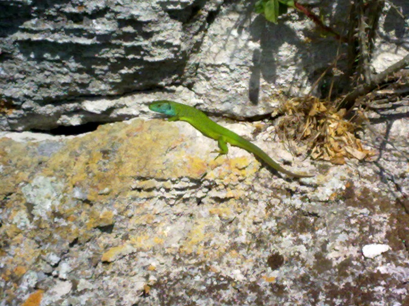 Сергей Бойчук фотография #12