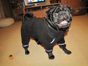 Фотография Коданевой Юлик