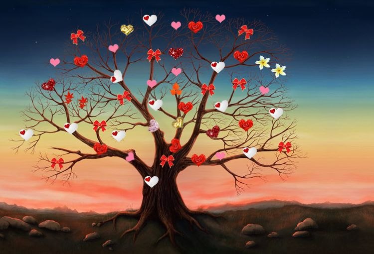 Элис Каленн фотография #2