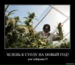 Андрій Дущак фотография #33 (источник - https://vk.com/id95316846)