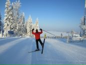 Дмитрий Лебедев фотография #46 (источник - https://vk.com/id55231)