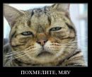 Таня Бігун фотография #36 (источник - https://vk.com/id69562567)