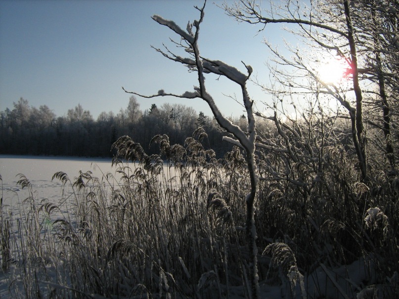 Лоер Лое фотография #2