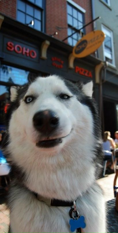 Даниил Беляев фотография #5