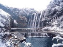 秀婷 杨 фотография #12 (источник - https://vk.com/id142615994)