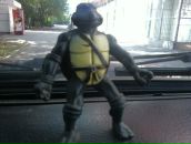 Фотография Самохвалова Максима