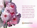 Фотография Киреевой Лены