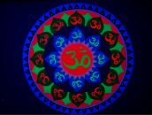 Фотография Сердюка Максима