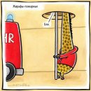 Black Fox фотография #15 (источник - https://vk.com/id1894792)