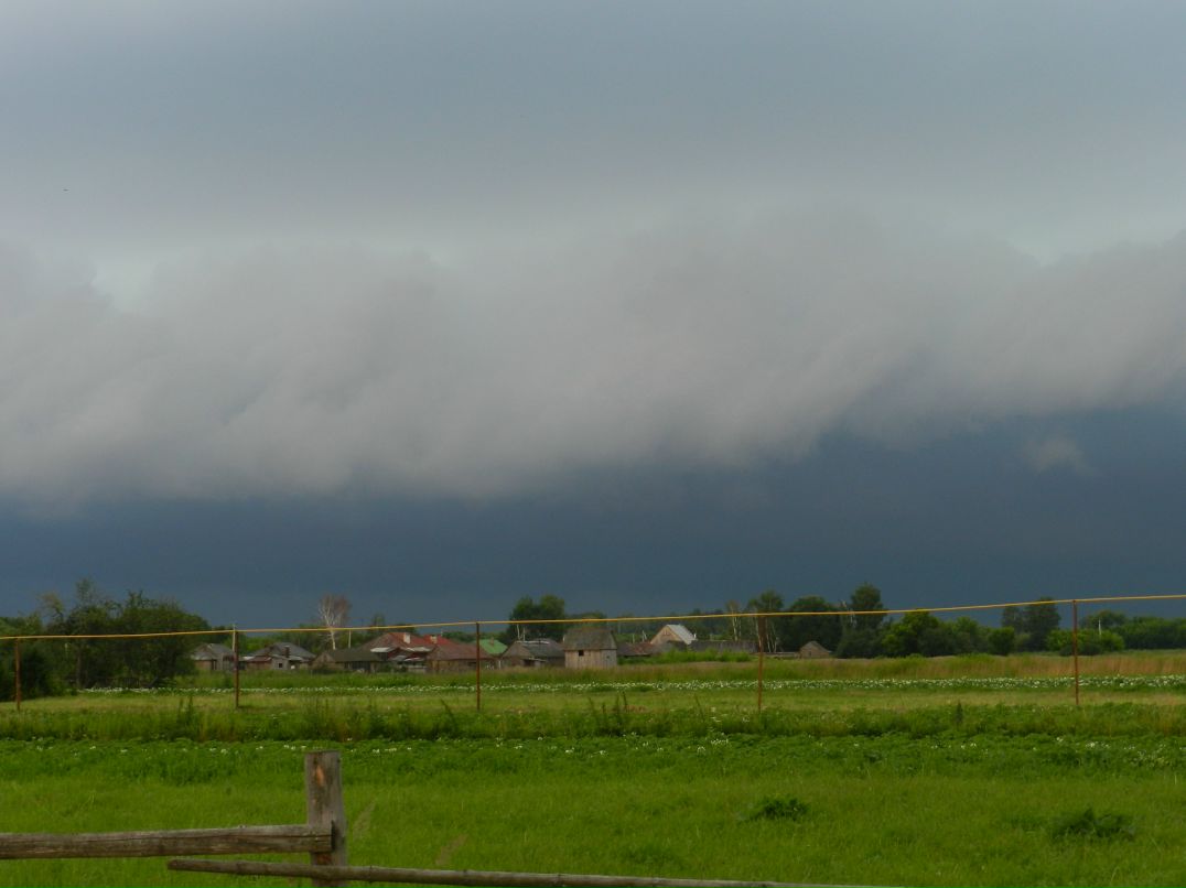 Дмитрий Толстых фотография #23