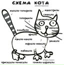Фотография Ефремовой Ларисы