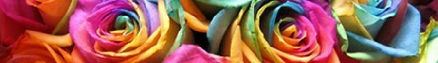 Іннусик Дроздюк фотография #18 (источник - https://vk.com/id95488502)