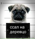 Фотография Ильенко Риммы