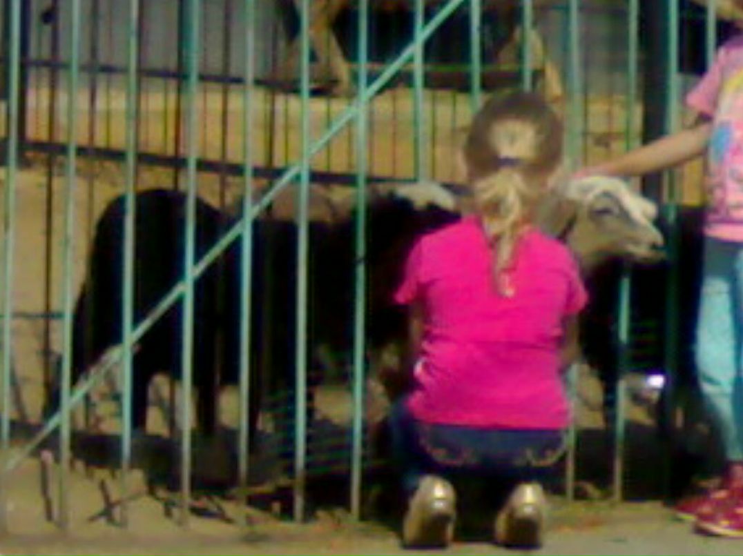 Александр Плотников фотография #9