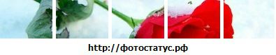 Ірусік Токар фотография #5 (источник - https://vk.com/id148238175)