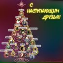 Фотография Андросенко Айны