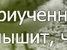 Євгенія Базильчук фотография #37 (источник - https://vk.com/id100655913)