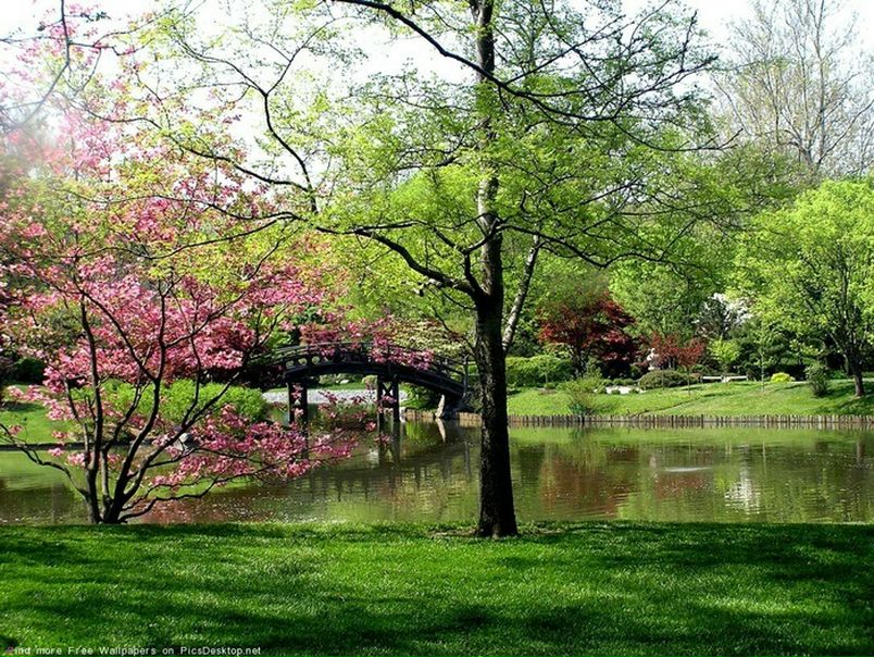 Ришат Измайлов фото №43