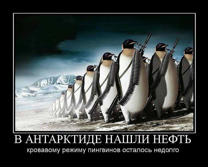 Иван Пуртов фотография #48