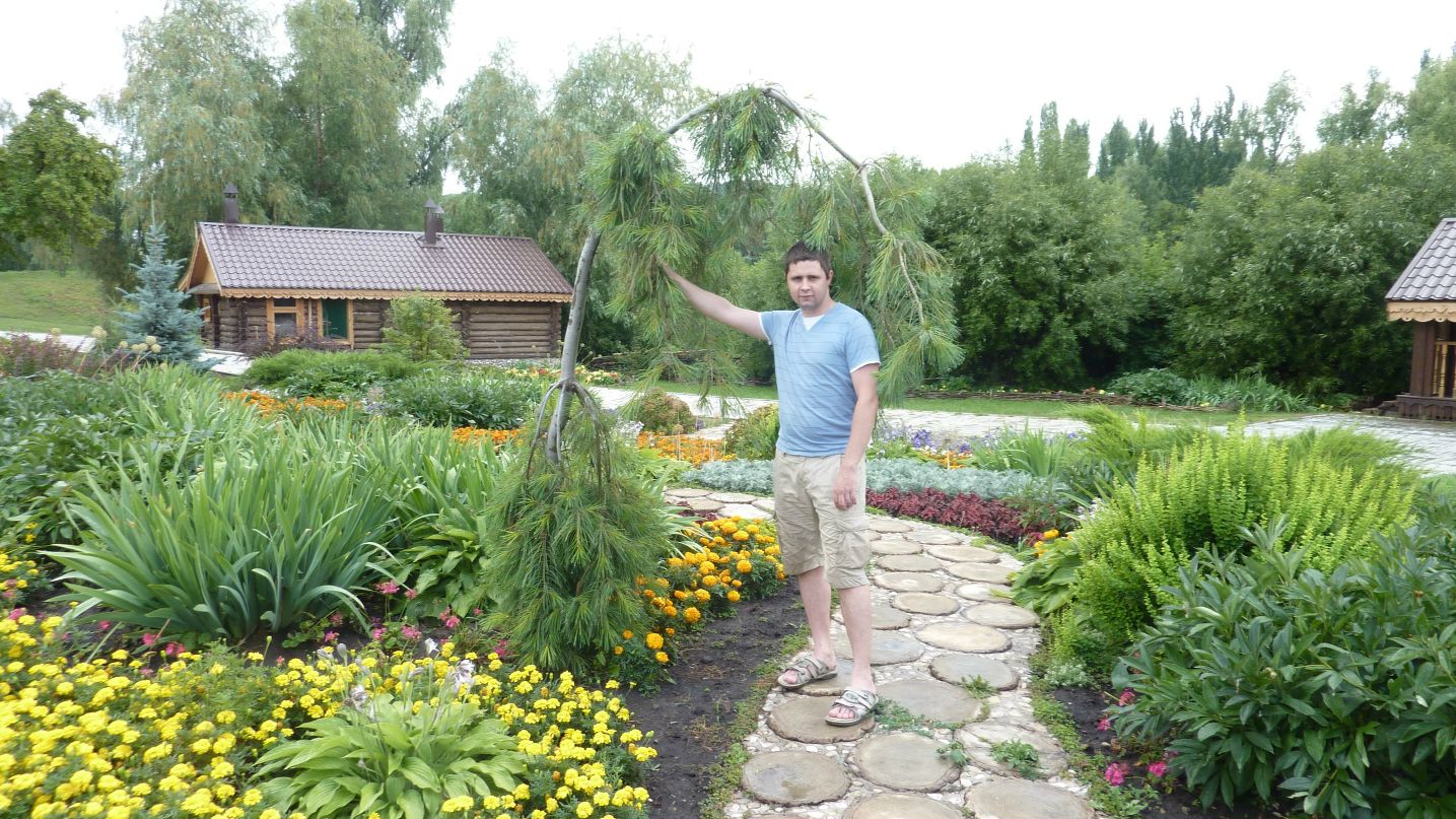 Дмитрий Стройков фотография #6