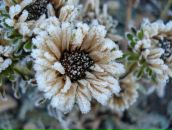 Фотография Константиновой Тонечки