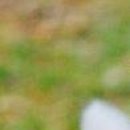 Леся Андреєва фотография #26 (источник - https://vk.com/id142723263)